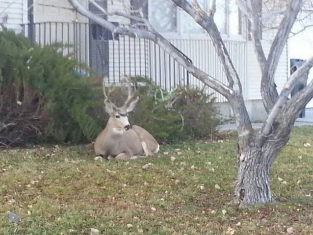 Foto - Günün ilginç kareleri