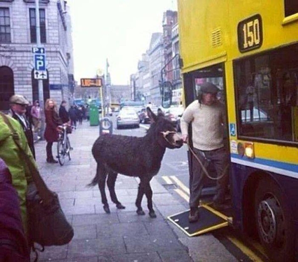 Günün ilginç kareleri