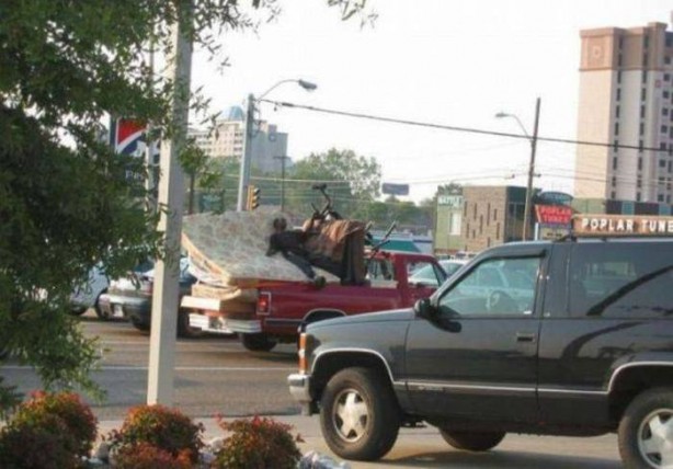 Foto - Günün ilginç kareleri