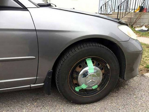 Foto - Günün ilginç kareleri