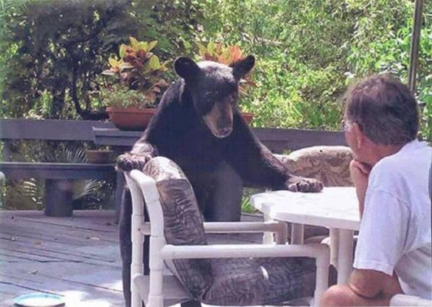 Foto - Günün ilginç kareleri