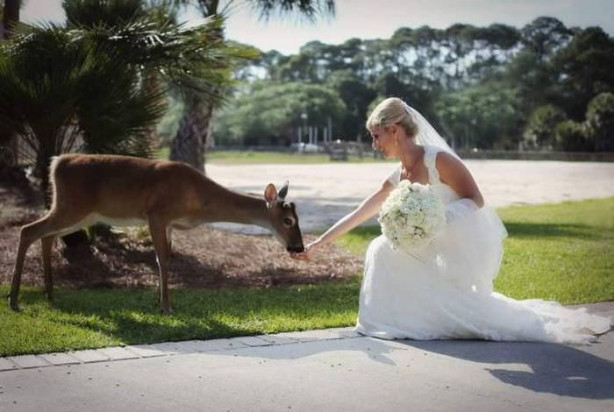 Foto - Günün ilginç kareleri