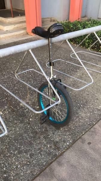 Foto - Günün ilginç kareleri