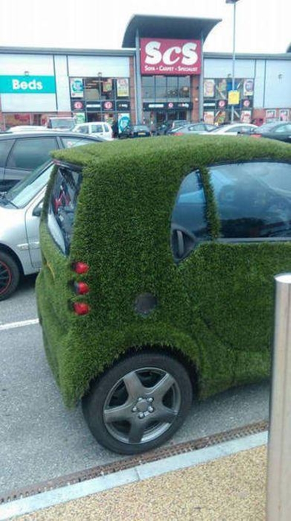 Foto - Günün ilginç kareleri