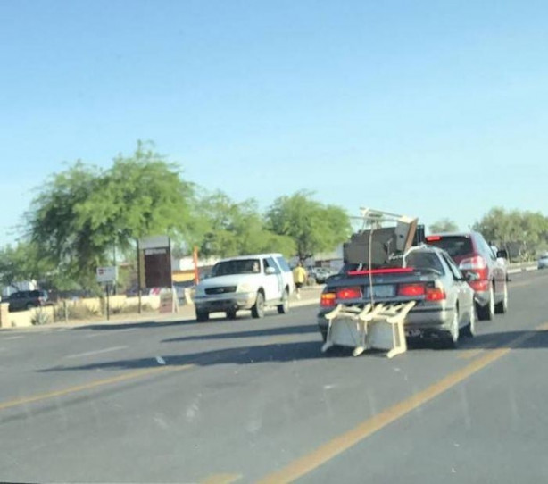 Foto - Günün ilginç kareleri