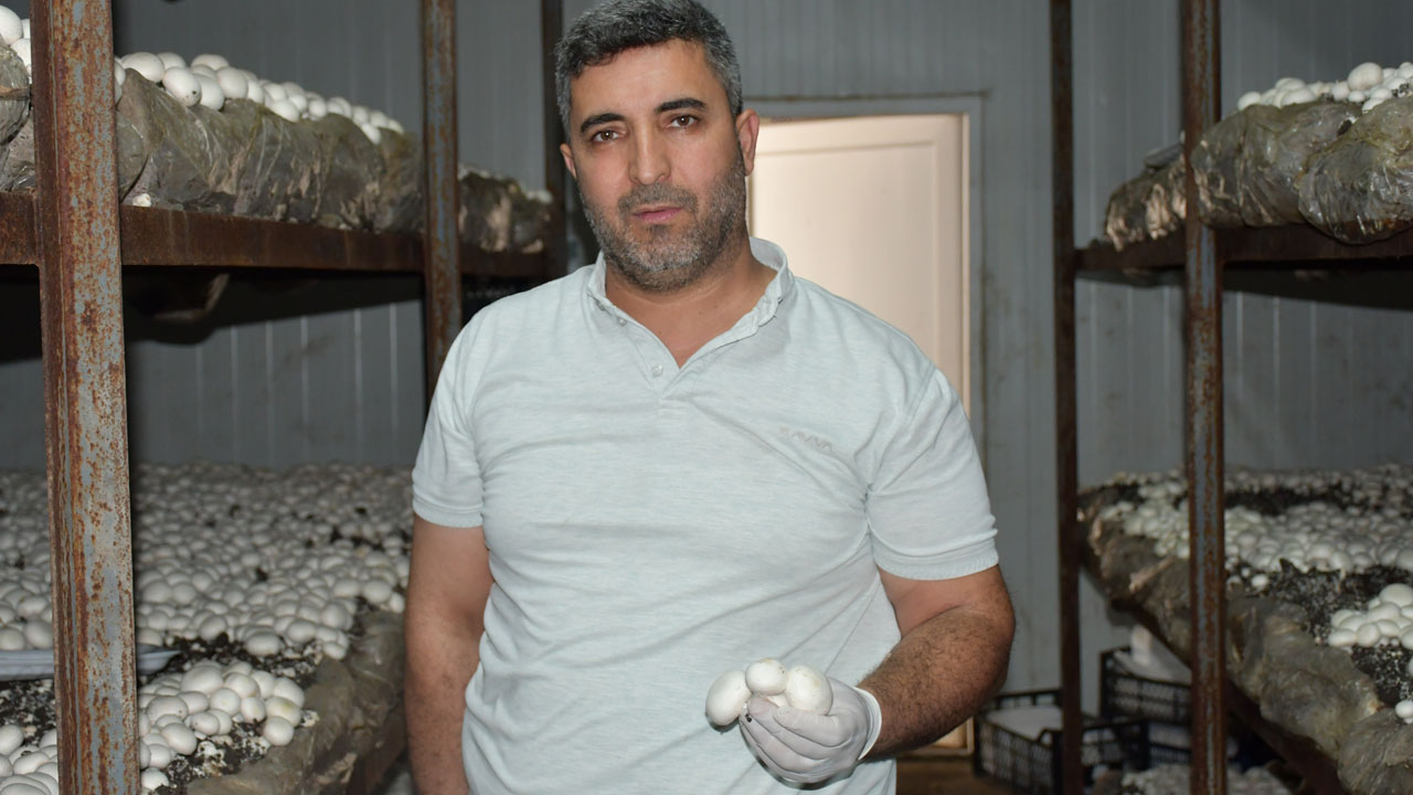 Foto - Gurbette öğrendi, memleketinde başardı! Yıllık 600 ton üretim yapıyor