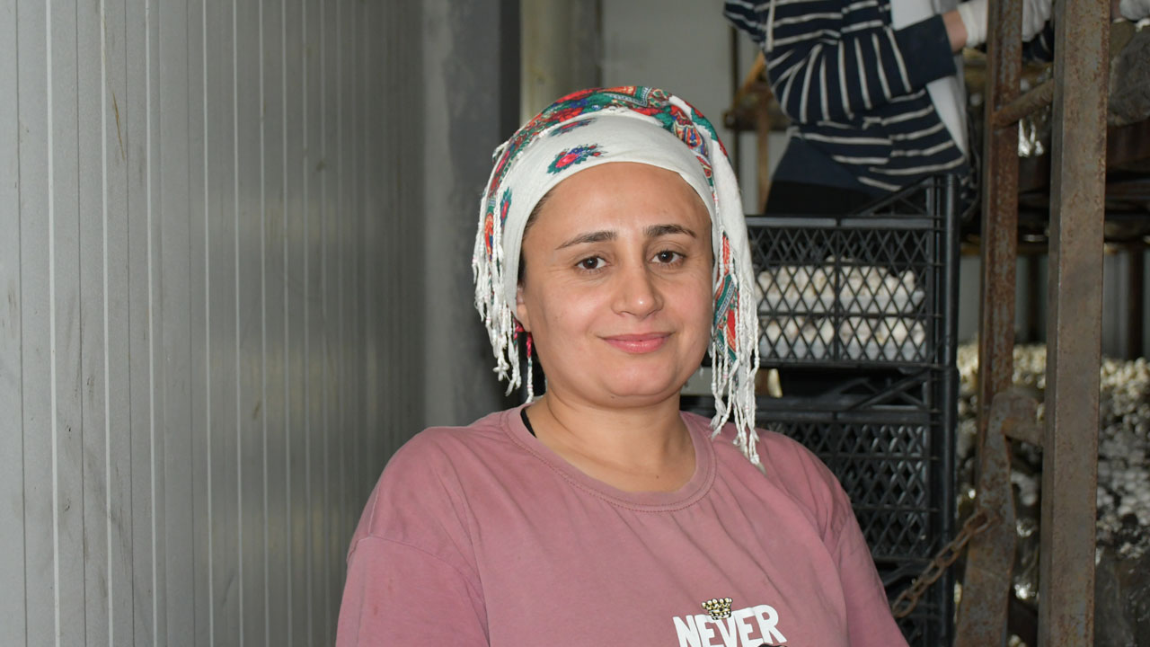 Foto - Gurbette öğrendi, memleketinde başardı! Yıllık 600 ton üretim yapıyor