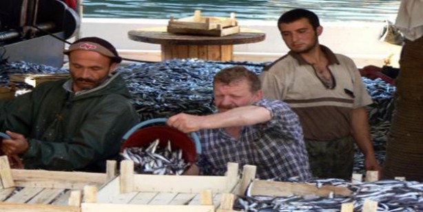 Foto - GÜRPINAR'DAKİ YENİ 'HAL'