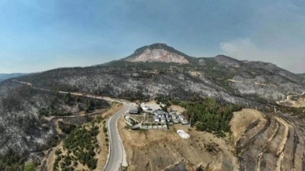 Foto - Gürsu’da yürek yakan manzara