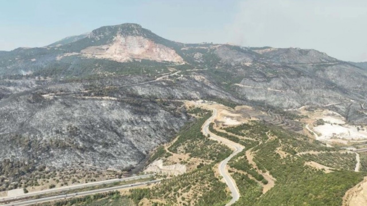 Foto - Gürsu’da yürek yakan manzara