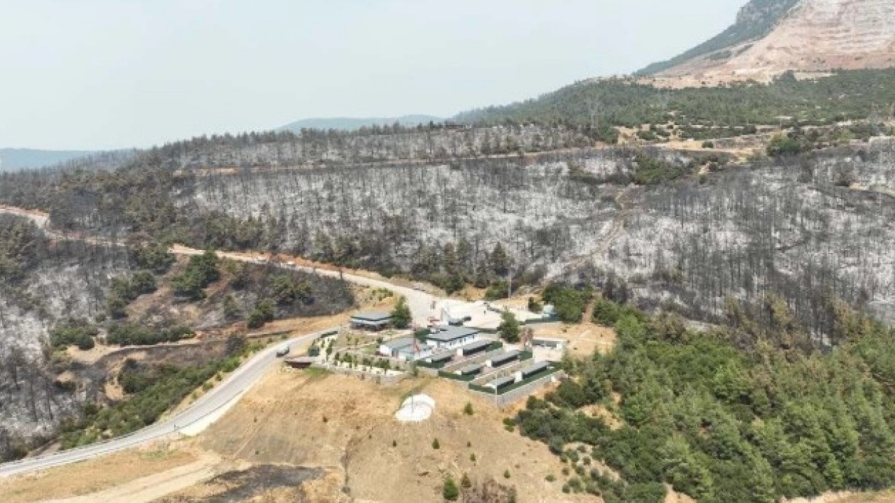 Foto - Gürsu’da yürek yakan manzara