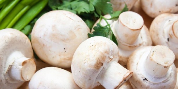 Foto - Gut hastalığına iyi gelen en iyi 4 besin