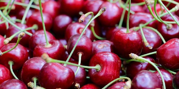 Foto - Gut hastalığına iyi gelen en iyi 4 besin