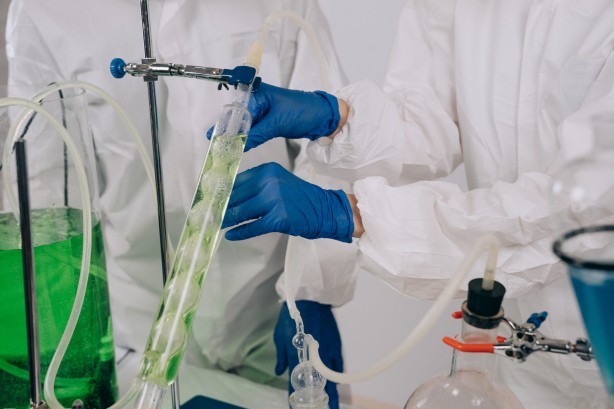 Foto - Gut hastalığına yol açan Ürik asidi azaltmanın yolları