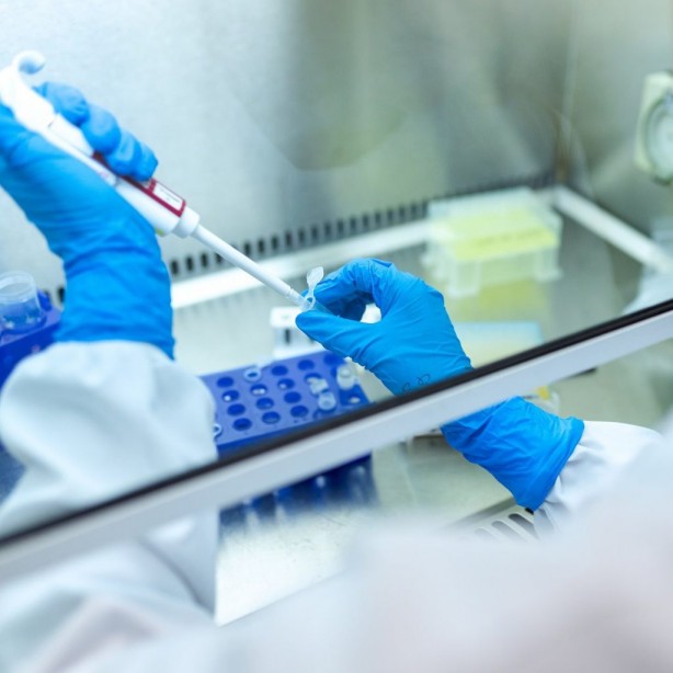 Foto - Gut hastalığına yol açan Ürik asidi azaltmanın yolları