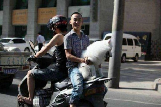 Foto - Güvenliklerini hiçe sayan insanlardan akıl almaz görüntüler
