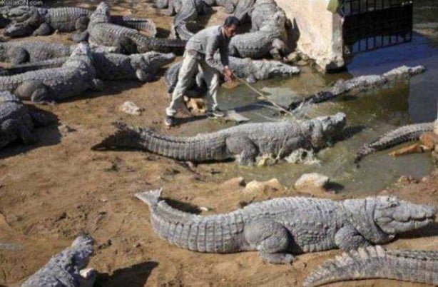 Foto - Güvenliklerini hiçe sayan insanlardan akıl almaz görüntüler