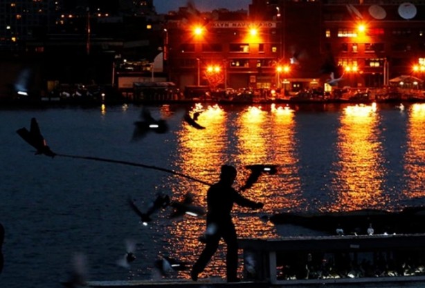 Foto - Güvercinlere LED ışık takıp gökyüzüne saldı