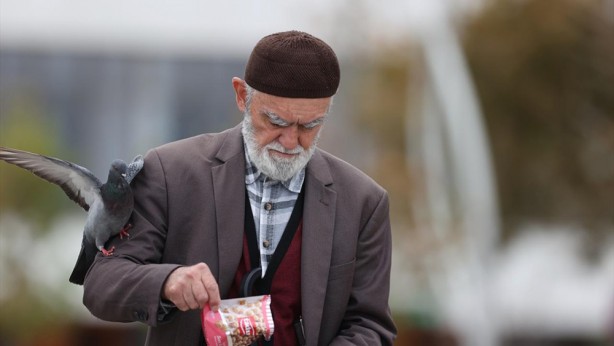 Foto - Güvercinleri leblebi ile besliyor