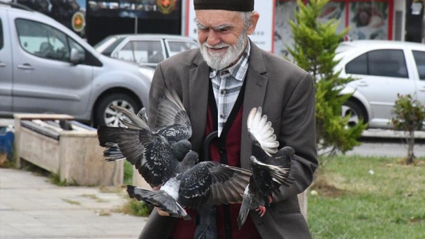 Güvercinleri leblebi ile besliyor