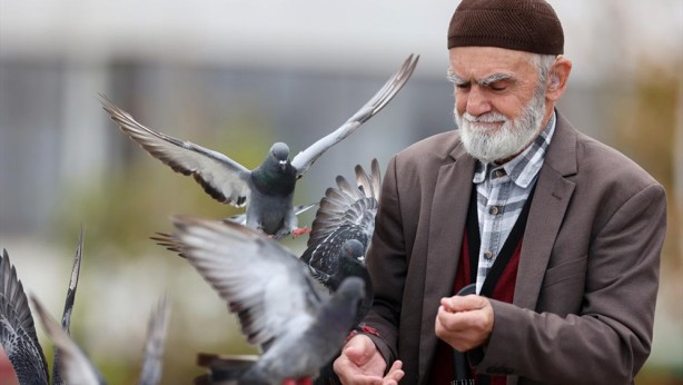 Foto - Güvercinleri leblebi ile besliyor