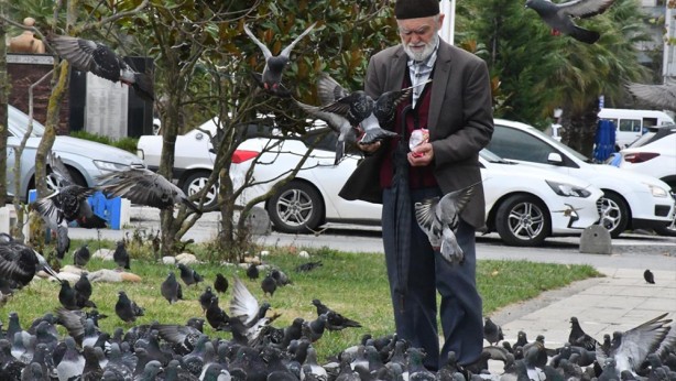 Foto - Güvercinleri leblebi ile besliyor