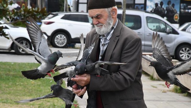 Foto - Güvercinleri leblebi ile besliyor
