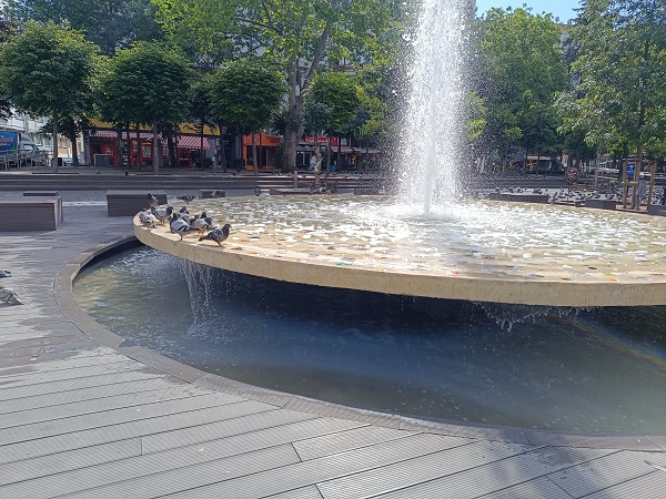 Foto - Güvercinlerin bu hali gülümsetti