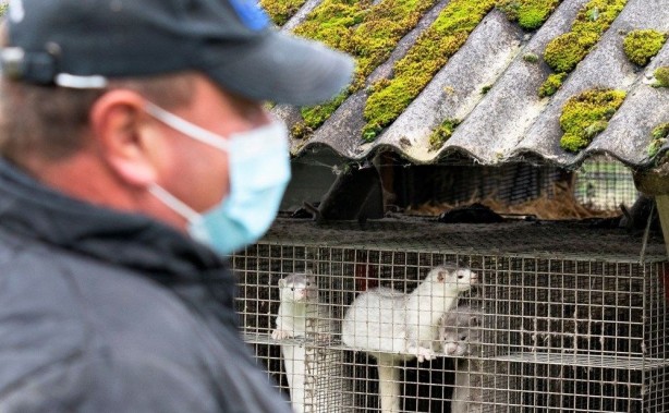Foto - Güzel haberi dünyaya duyurdular! Mustasyona uğrayan virüs öldü