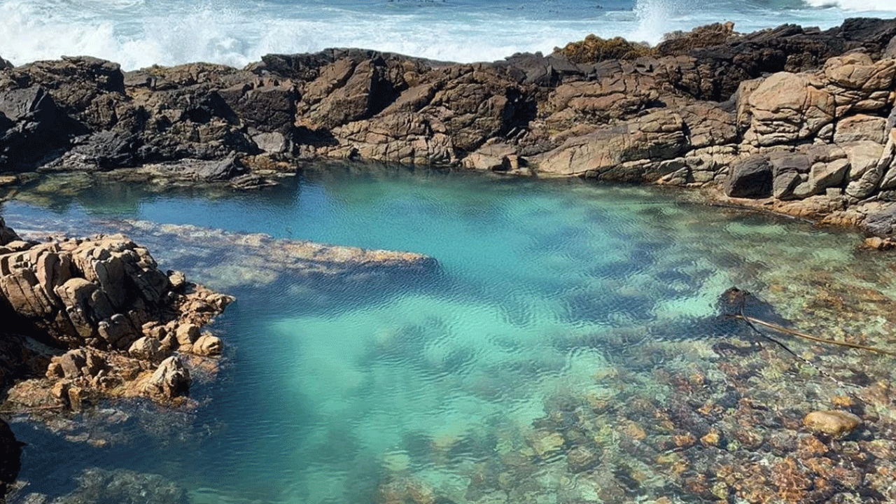 Foto - Güzelliği sizi aldatmasın! Burada yüzen ölümle burun buruna geliyor!