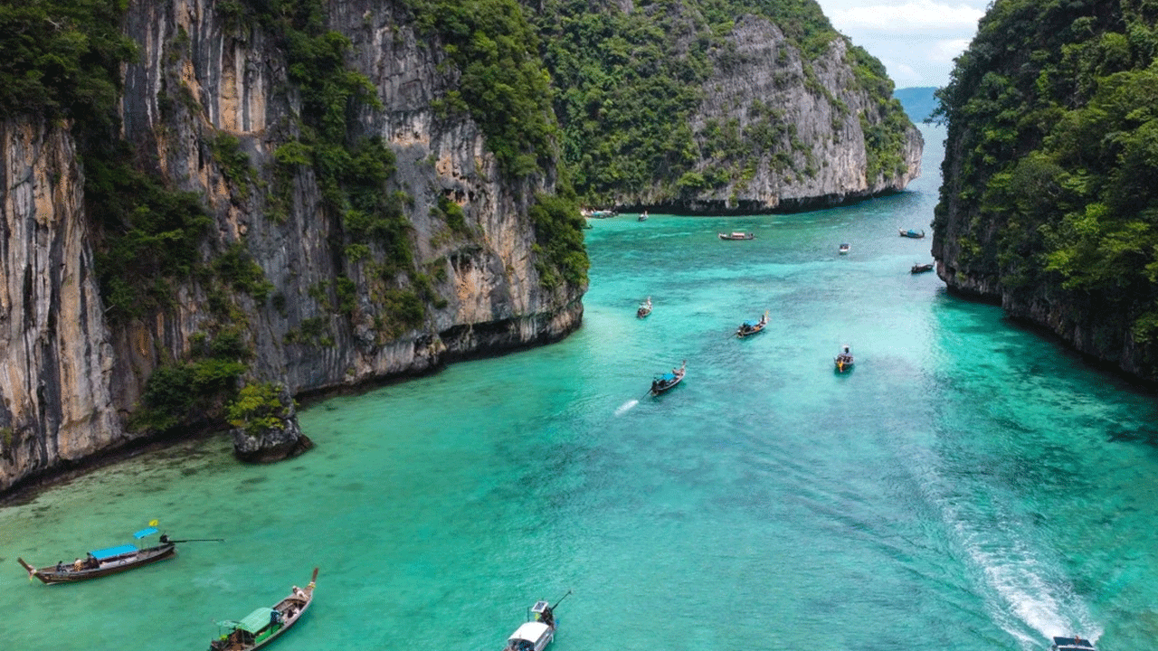 Foto - Güzelliği sizi aldatmasın! Burada yüzen ölümle burun buruna geliyor!