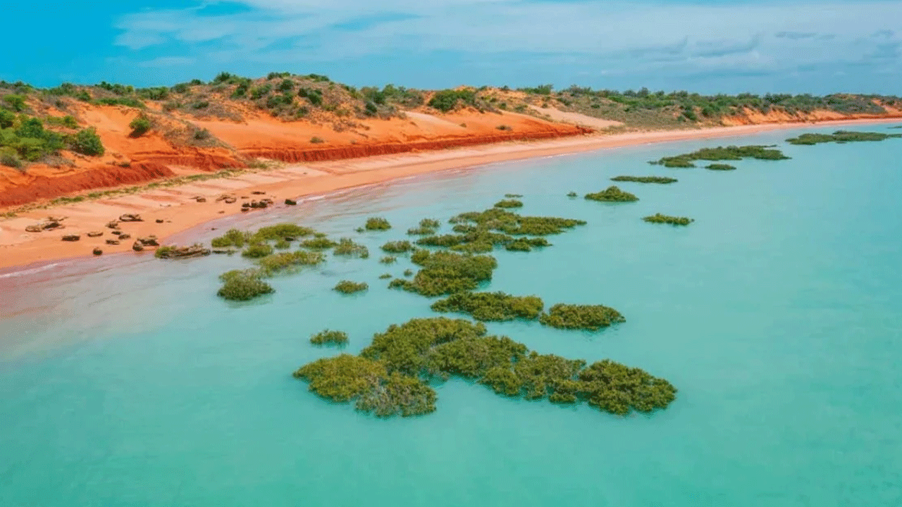 Foto - Güzelliği sizi aldatmasın! Burada yüzen ölümle burun buruna geliyor!