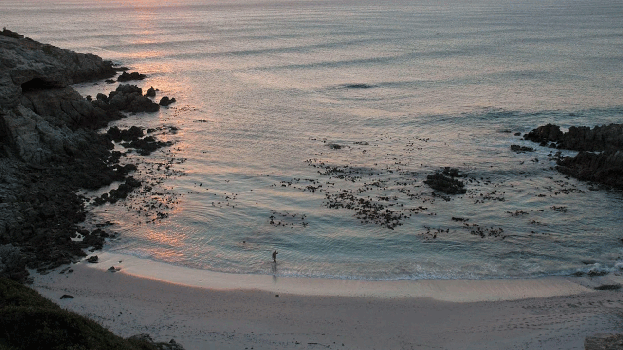 Güzelliği sizi aldatmasın! Burada yüzen ölümle burun buruna geliyor!