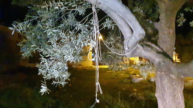 Foto - Habere giden muhabir intiharı engelledi!