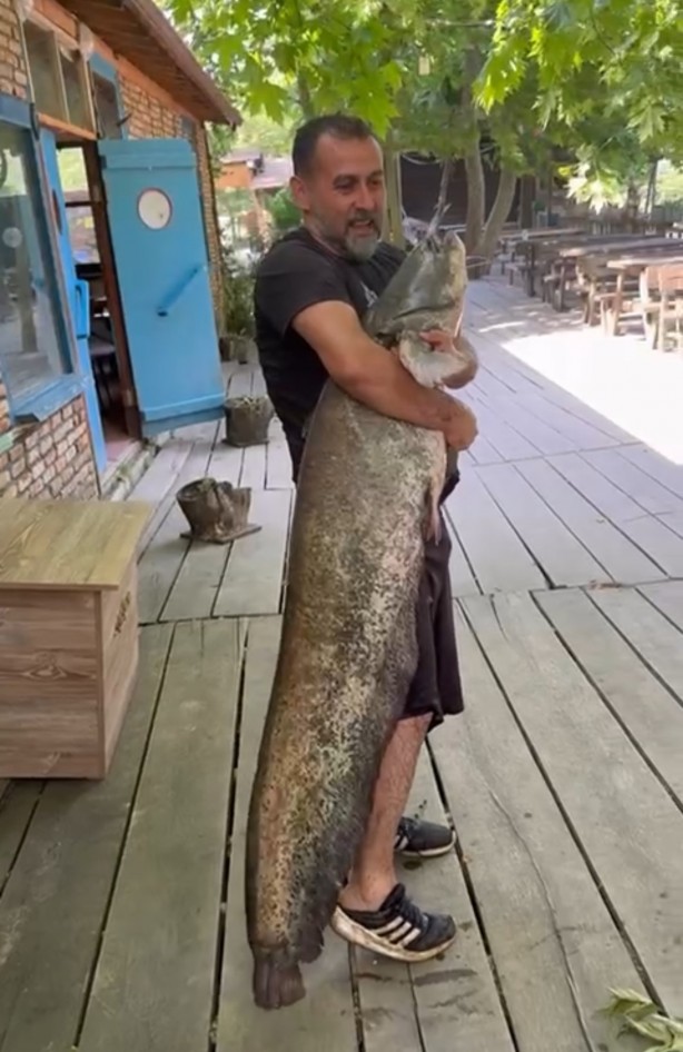 Foto - Haberlere konu oldu, cezai işlem uygulandı