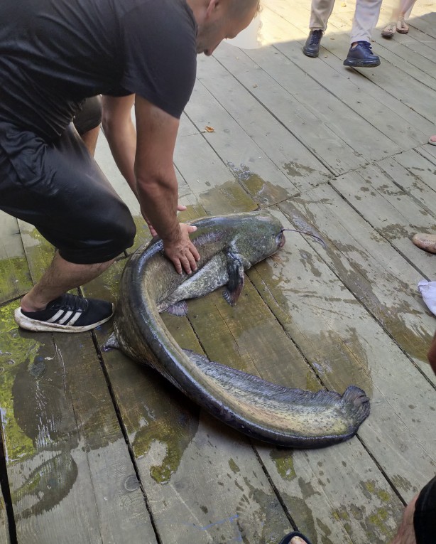 Foto - Haberlere konu oldu, cezai işlem uygulandı