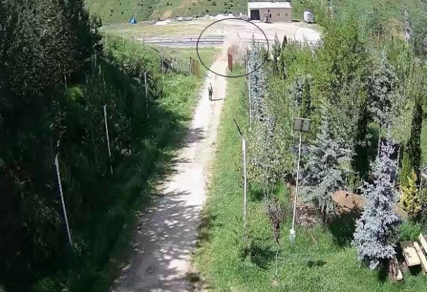 Foto - Hafif ticari araç devrildi: 1 ölü 5 yaralı