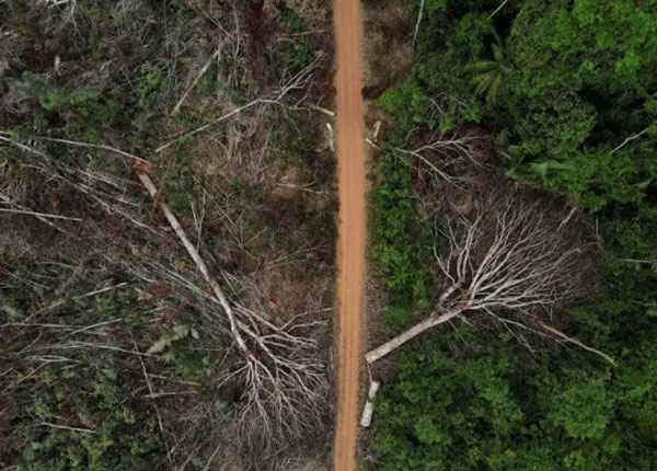 Foto - Hafızanızı tazeleyin... İşte fotoğraflarla 2022 Dünya gündemi