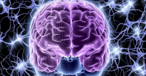 Foto - Hafızaya zararlı 10 gıda