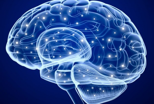 Foto - Hafızaya zararlı 10 gıda