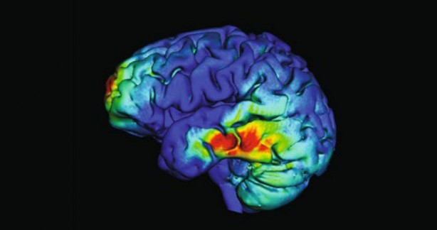 Hafızaya zararlı 10 gıda