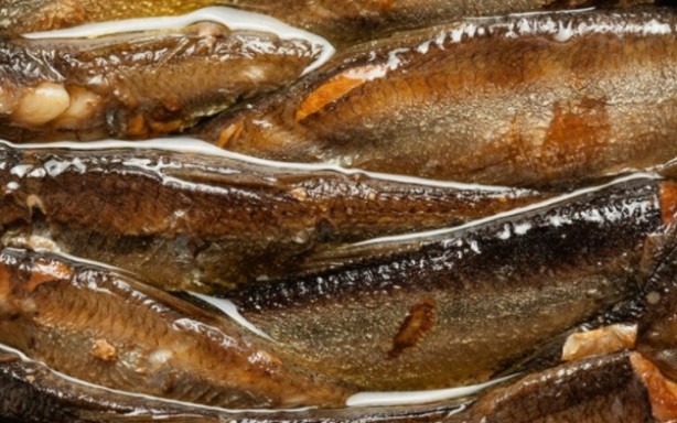 Hafızayı çelik gibi yapan besinler! Uzmanlar ısrarla uyarıyor