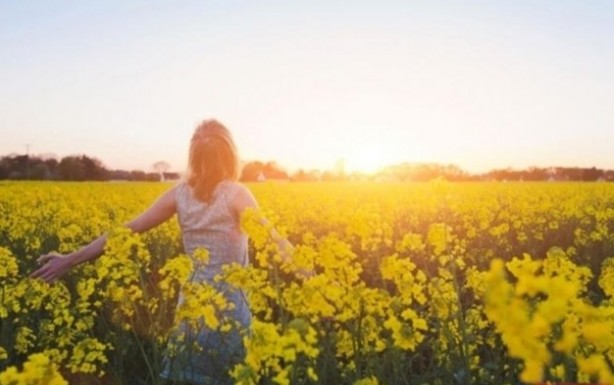 Foto - Hafızayı çelik gibi yapan besinler! Uzmanlar ısrarla uyarıyor