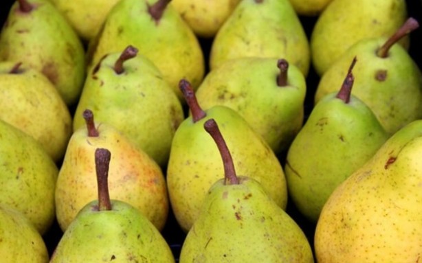 Foto - Hafızayı çelik gibi yapan besinler! Uzmanlar ısrarla uyarıyor