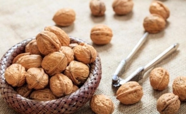 Foto - Hafızayı çelik gibi yapan besinler! Uzmanlar ısrarla uyarıyor