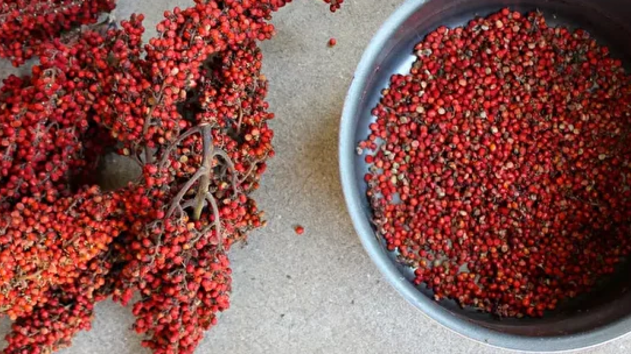 Foto - Canan Karatay ısrarla tavsiye etti: Bir yemek kaşığı sıcak suya katınca karaciğeri temizliyor! 