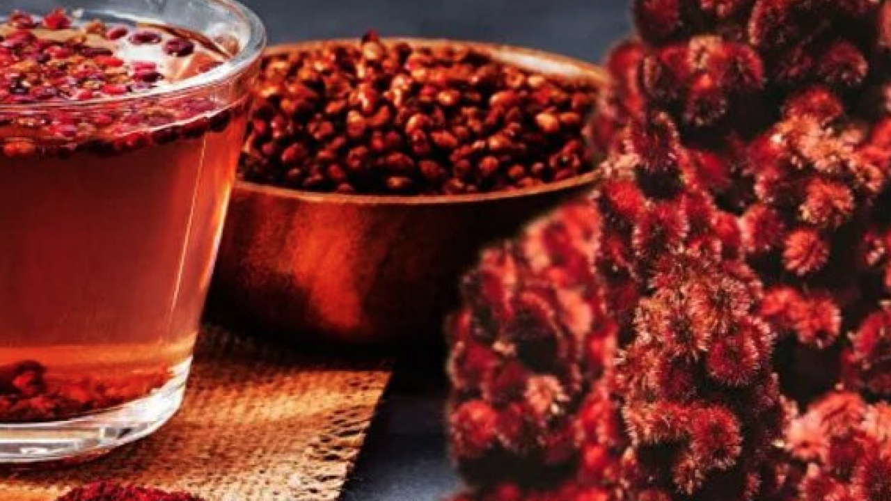 Foto - Canan Karatay ısrarla tavsiye etti: Bir yemek kaşığı sıcak suya katınca karaciğeri temizliyor! 