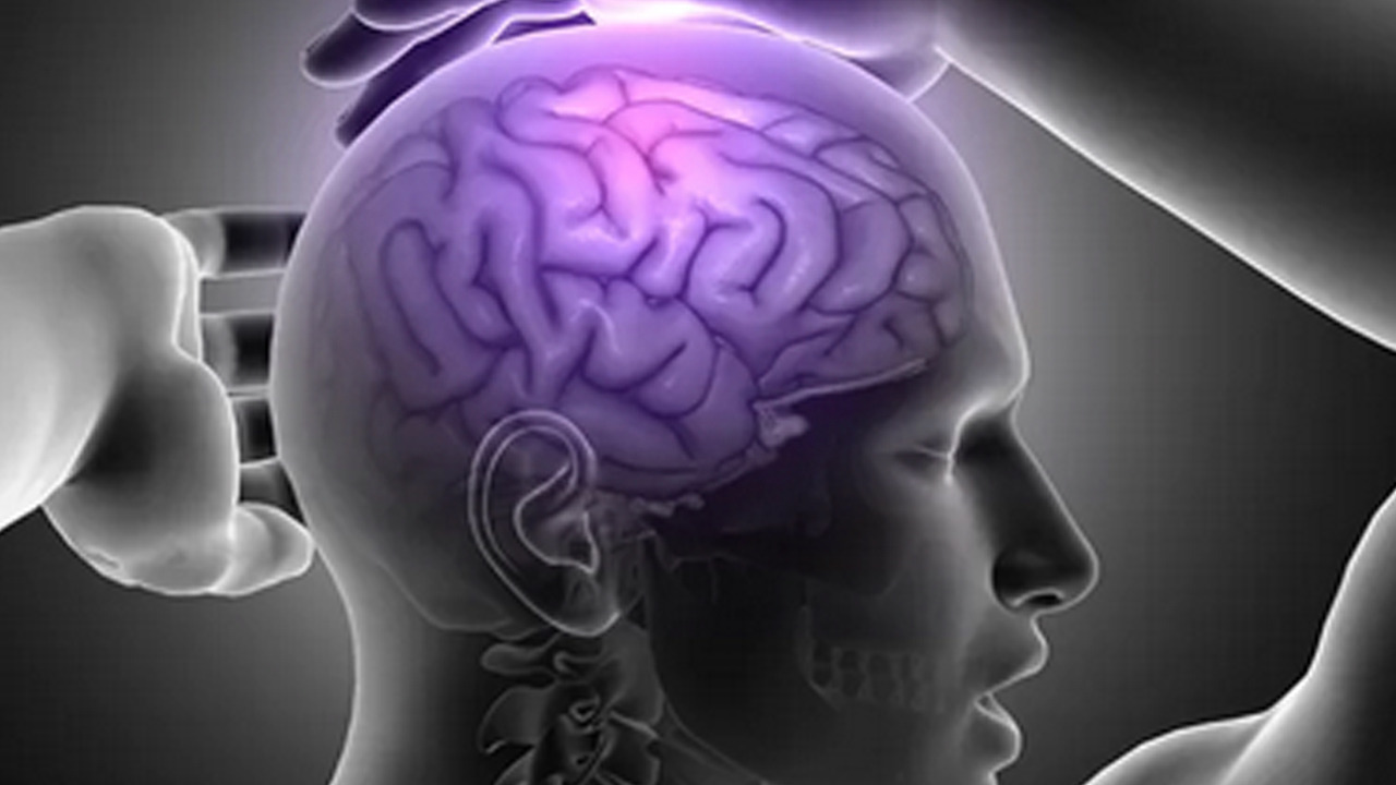 Foto - Hafızayı güçlendiren 3 gıda: Meyve, kuruyemiş ve çekirdekler Alzheimerdan koruyor!