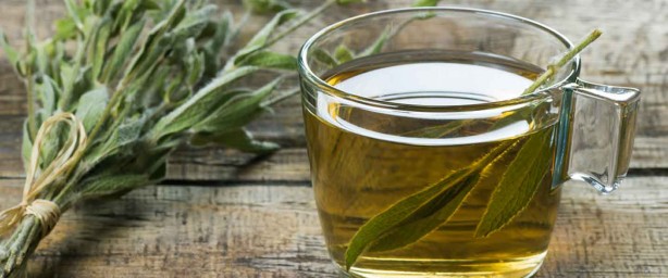 Foto - Hafızayı güçlendiren 5 bitki