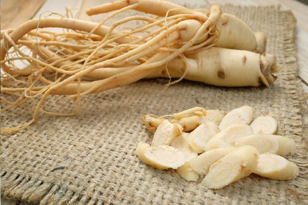 Foto - Hafızayı güçlendiren 5 bitki